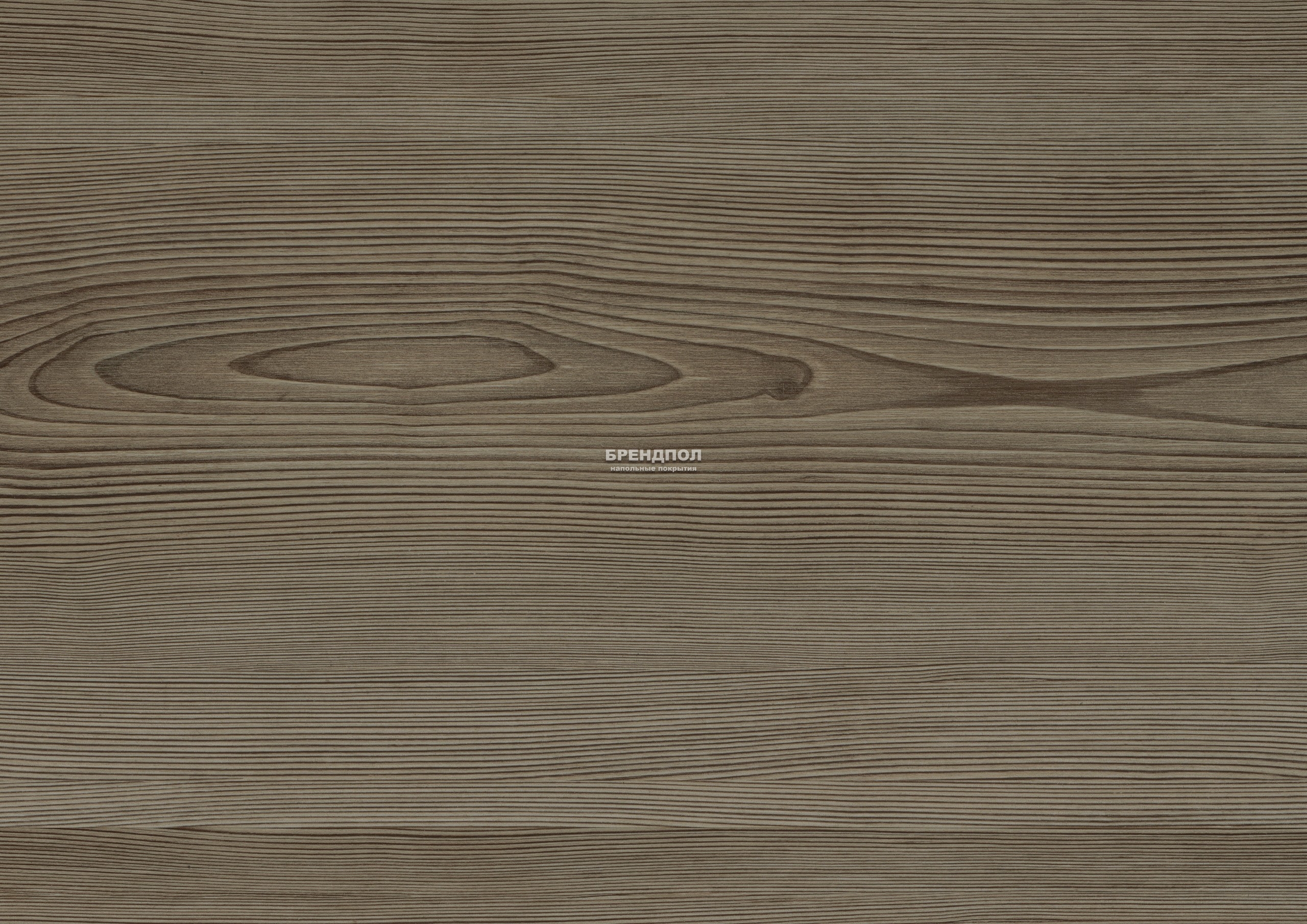 Скандик Грей Скандик Грей